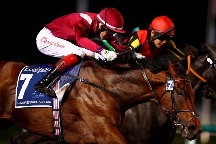 【ドバイシーマクラシック】日本馬を抑えてミシュリフが競り勝った（Photo by Getty Images）