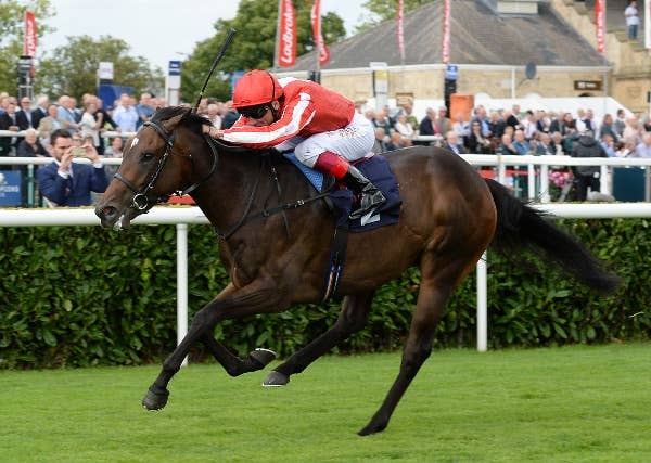 フライングチルダーズS、デットーリ騎乗のアルダッドが制す JRAVAN World 海外競馬情報サイト