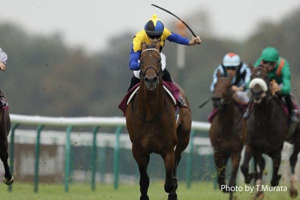マカヒキを勝利に導いたルメール騎手「凱旋門賞本番も楽しみ マカヒキを勝利に導いたルメール騎手「凱旋門賞本番も楽しみ