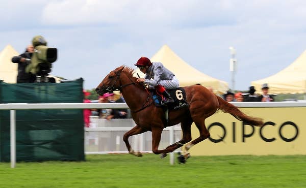 英2000ギニー馬ガリレオゴールド、来季も現役続行 JRAVAN World 海外競馬情報サイト