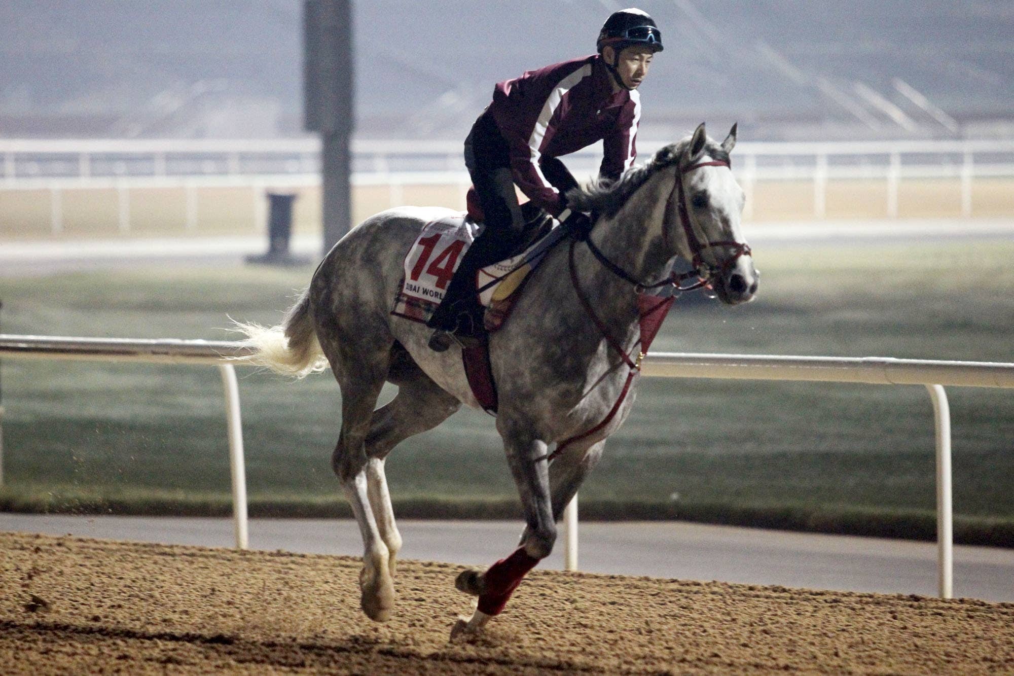 日本馬ではラニがベスト 名物競馬ジャーナリストが予想 Jra Van Ver World