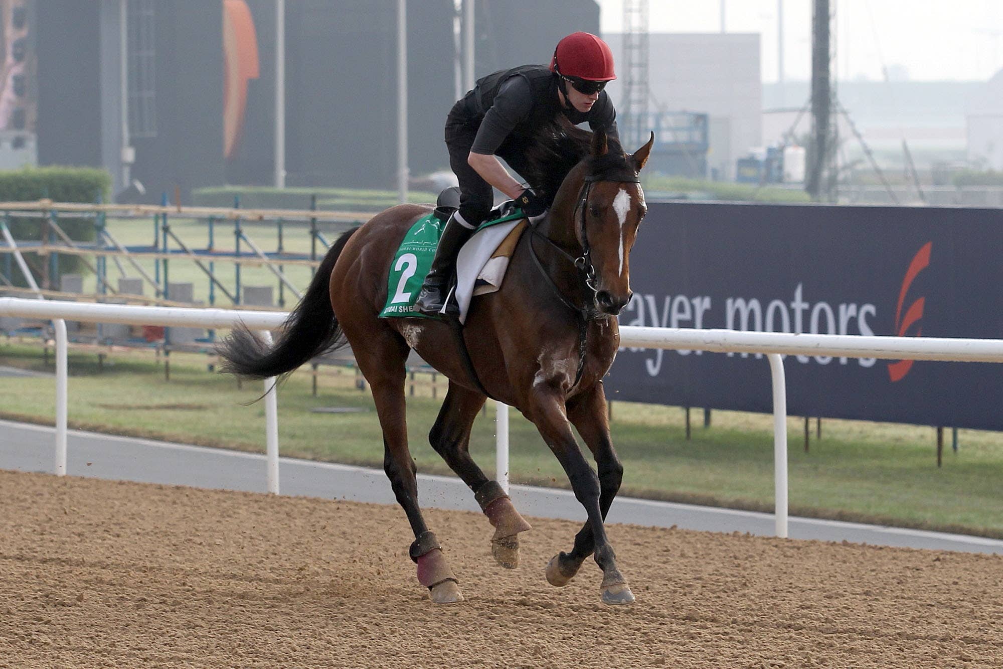 ドバイシーマクラシック 土屋真光の見解 Jra Van Ver World ドバイシーマクラシック 土屋真光の見解 Jra Van Ver World