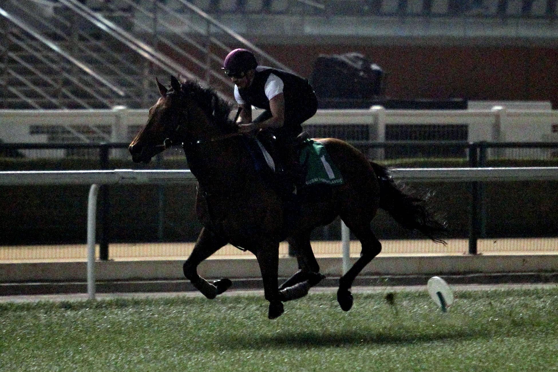 ドバイシーマクラシック 土屋真光の見解 Jra Van Ver World ドバイシーマクラシック 土屋真光の見解 Jra Van Ver World