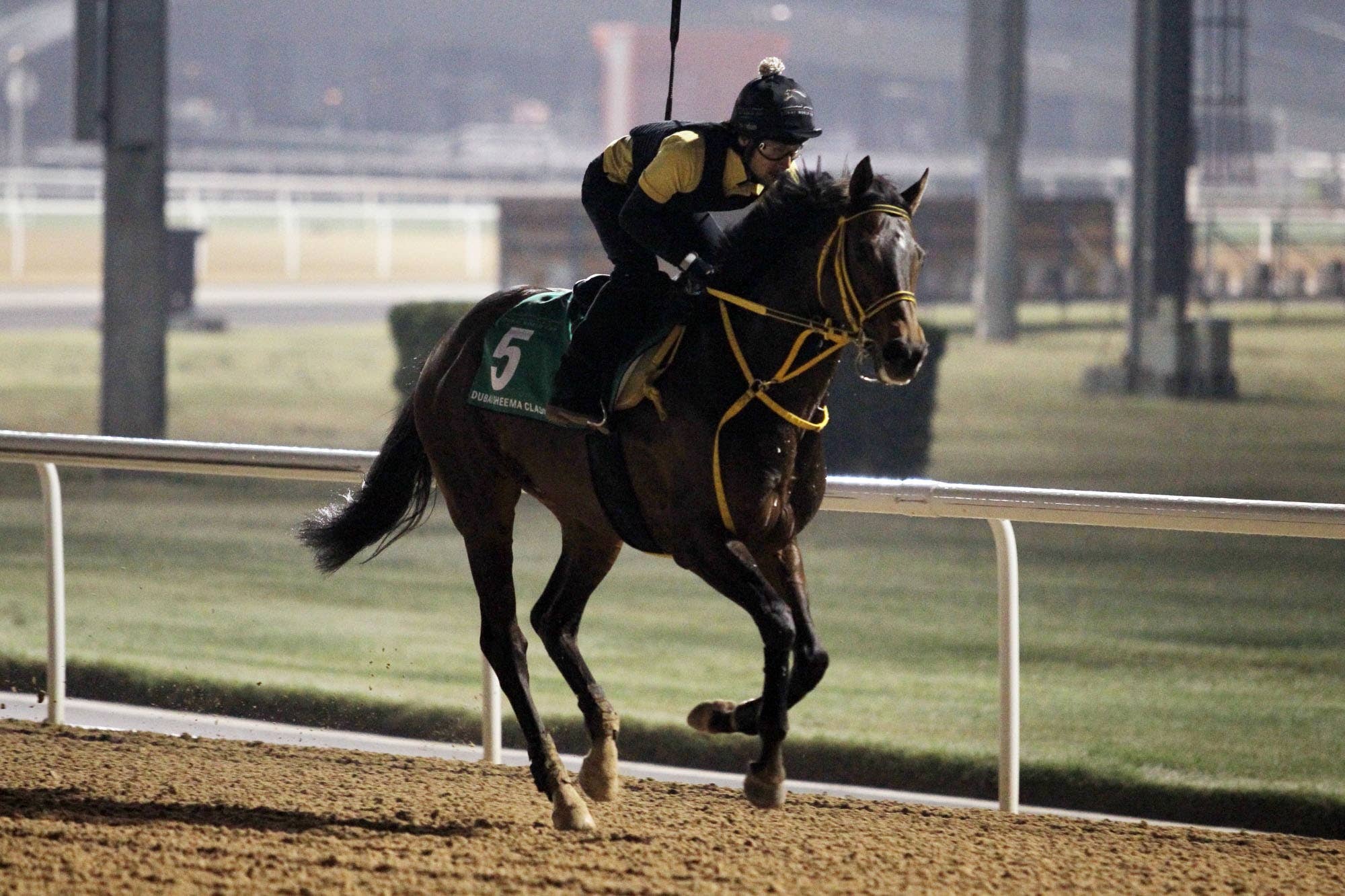 ドバイシーマクラシック 土屋真光の見解 Jra Van Ver World ドバイシーマクラシック 土屋真光の見解 Jra Van Ver World