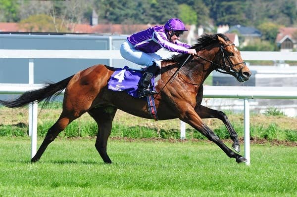 A.オブライエン師、2000ギニー路線の「プランA」明かす JRAVAN World 海外競馬情報サイト