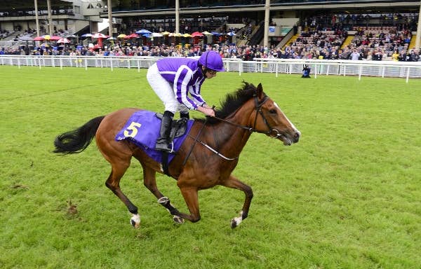 マインディング、今季初戦にガネー賞が浮上 JRAVAN World 海外競馬情報サイト