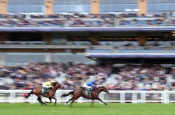 アスコット競馬場 ストア レコード