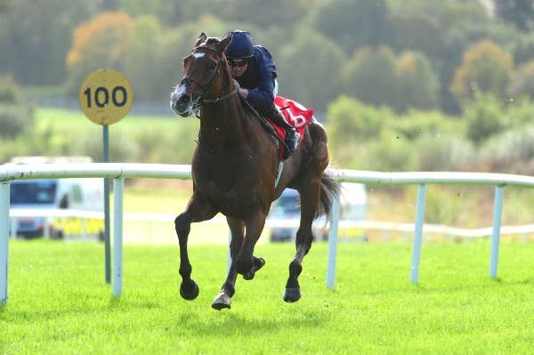 ダービートライアル、A.オブライエン厩舎からはサージョンラヴェリー出走 JRAVAN World 海外競馬情報サイト