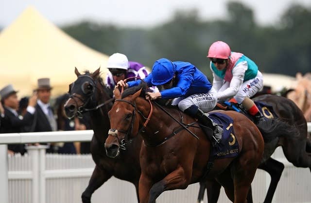 英ダービー5着のベンバトル、英インターナショナルSでG1に再挑戦 JRAVAN World 海外競馬情報サイト