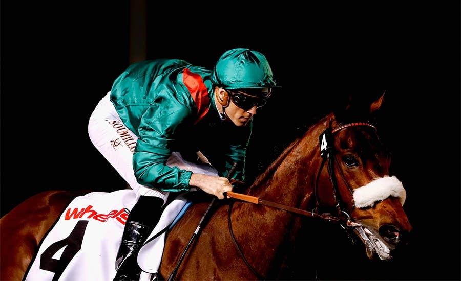 ザラック（Zarak） | 競馬データベース | JRA-VAN World - 海外
