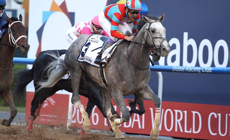 ラニ Lani 競馬データベース Jra Van Ver World ラニ Lani 競馬データベース Jra Van Ver World