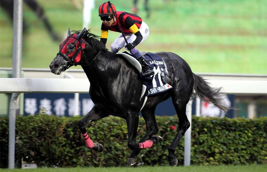 エイシンヒカリ（A Shin Hikari） | 競馬データベース | JRA-VAN World - 海外競馬情報サイト