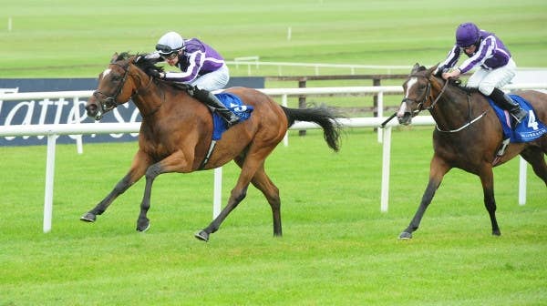 ディープインパクト産駒セプテンバー重賞初制覇ならず、同厩馬マジカル