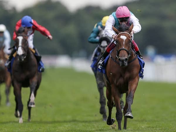 エネイブルがヨークシャーオークス圧勝、「凱旋門賞へ行く」とゴスデン師は明言 JRAVAN World 海外競馬情報サイト