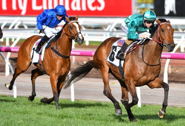 G1マカイビーディーヴァs ヒューミドールが殿一気で強豪ハートネル撃破 Jra Van Ver World