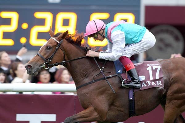 エネイブルは休養へ、調教師はロンシャンでの凱旋門賞連覇に意欲 JRAVAN World 海外競馬情報サイト