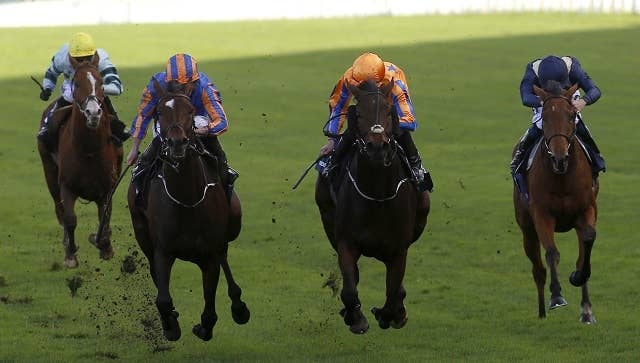 No.08【遊戯王プレイマット】 オーダー・オブ・カオス 2プレイマット