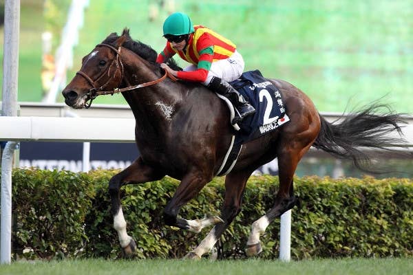 香港国際競走4レース、馬券発売が決定！ | JRA-VAN World - 海外競馬