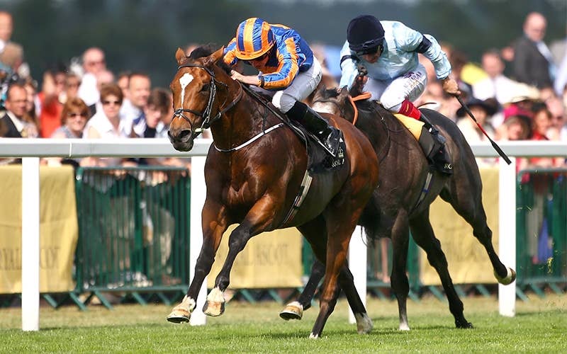 カランダガン（Calandagan） | 競馬データベース | JRA-VAN World