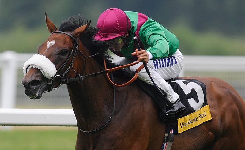 ユーロシャーリーン(Euro Charline) 競馬データベース JRAVAN World 海外競馬情報サイト