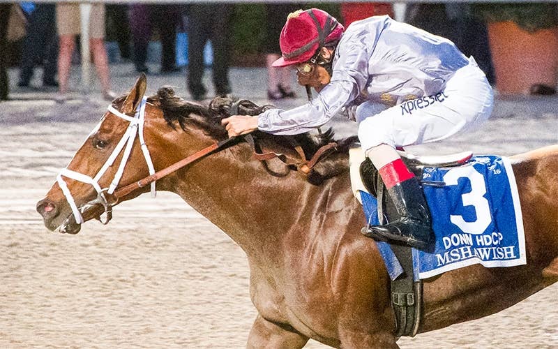 ムシャウィッシュ 競馬データベース Jra Van Ver World