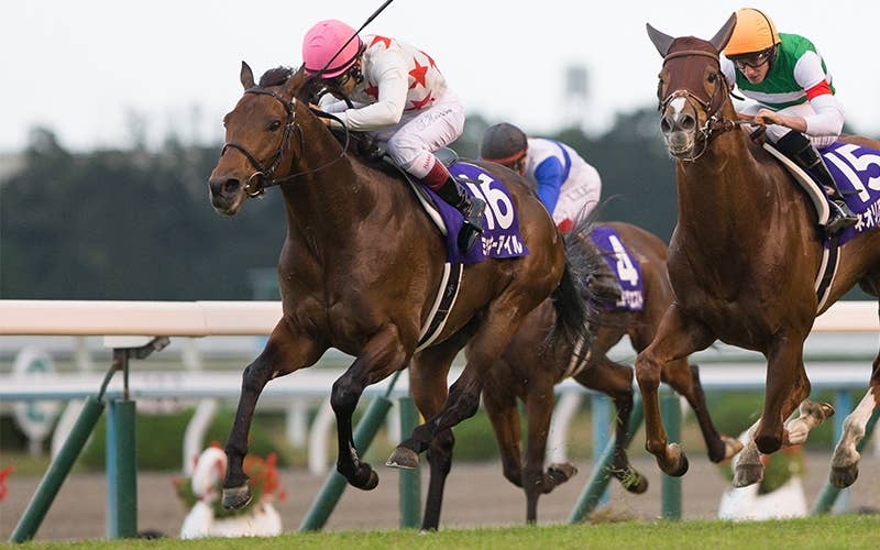 メイケイエール　トートバッグ　中京競馬場　JRA－VAN メイケイエール トートバッグ 中京競馬場 JRA－VAN