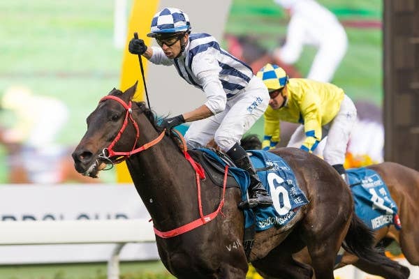 香港スチュワーズカップ、シーズンズブルームがG1初制覇 JRAVAN World 海外競馬情報サイト