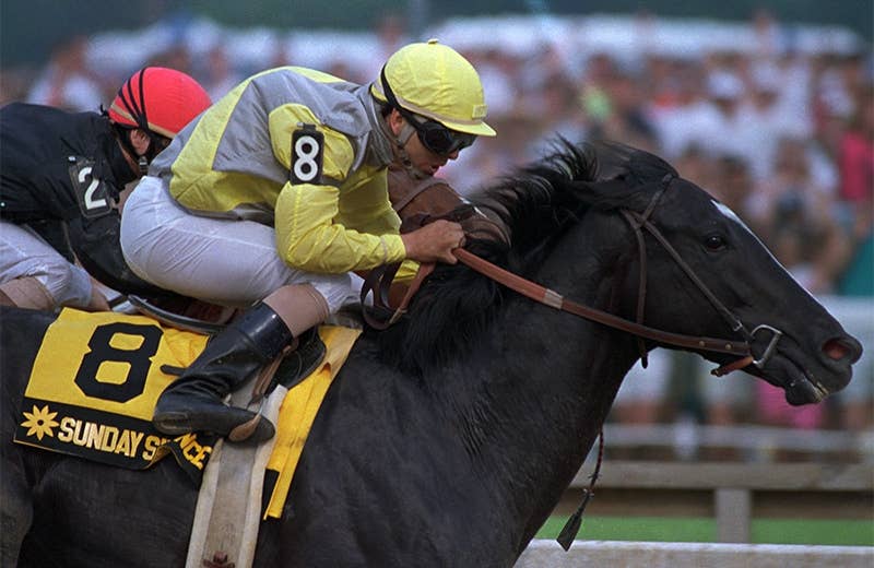 サンデーサイレンス（Sunday Silence） | 競馬データベース | JRA-VAN 