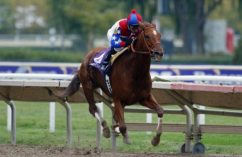 ワンピなど最旬ア！ グランアレグリア 競馬 競走馬 ジャージ ブルゾン 