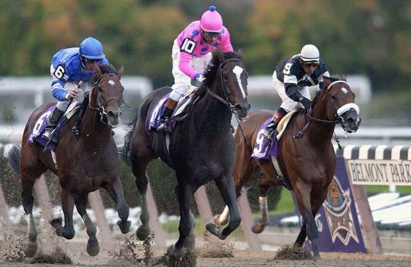 ティズナウ Tiznow 競馬データベース Jra Van Ver World