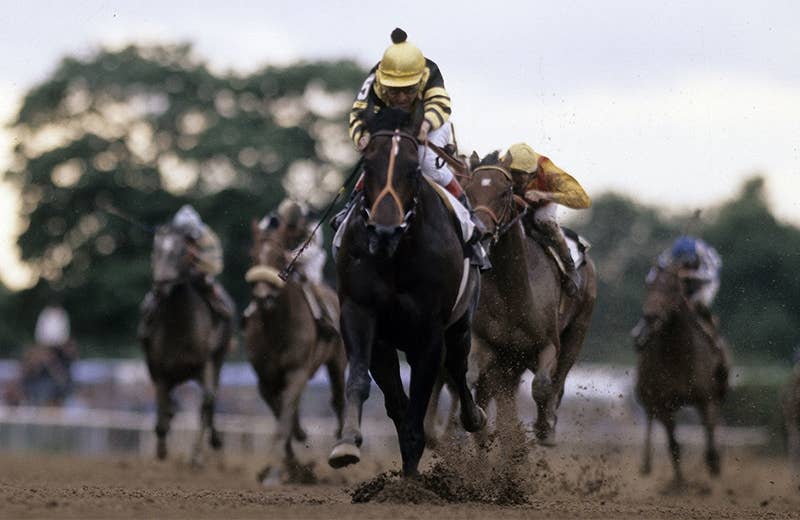 シガー（Cigar） | 競馬データベース | JRA-VAN World - 海外