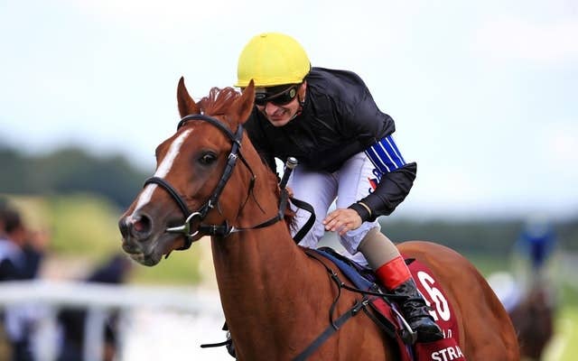 ステイヤーのストラディバリウス 5月から始動 Jra Van Ver World