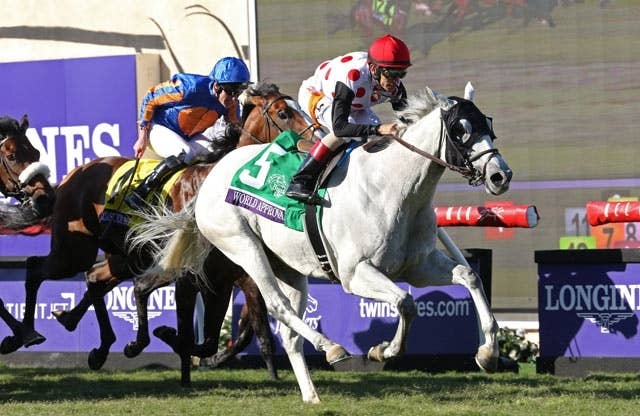 ワールドアプルーバル、3か月ぶりの米G2ワイズダンSでまさかの大敗 JRAVAN World 海外競馬情報サイト
