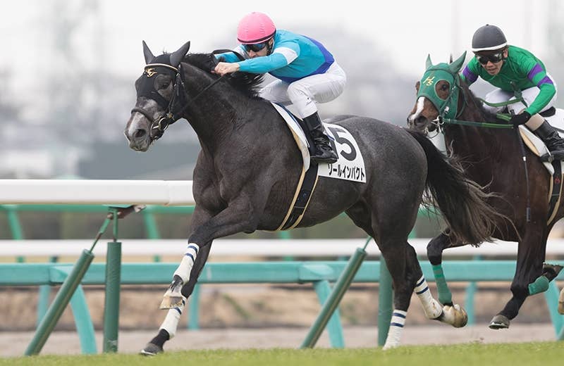 ソールインパクト 競馬データベース Jra Van Ver World