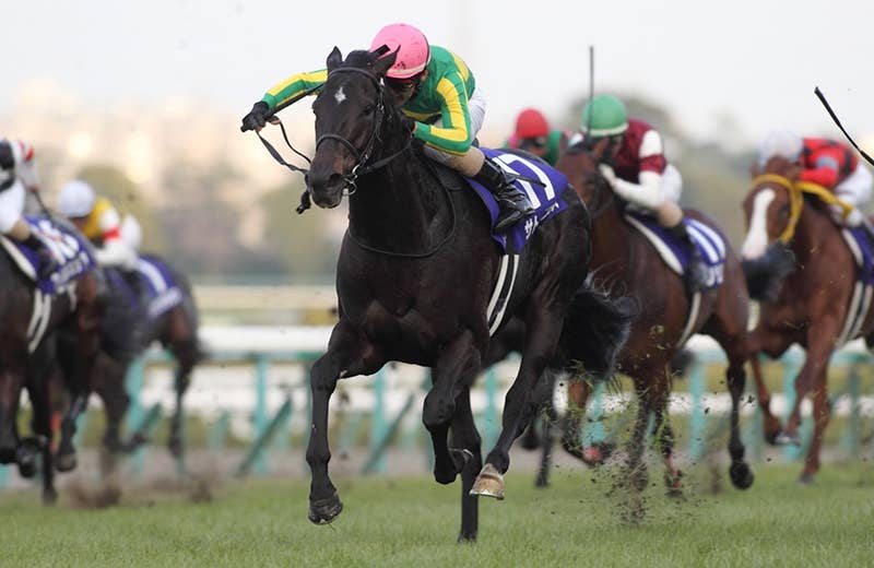 サトノアレス Satono Ares 競馬データベース Jra Van Ver World