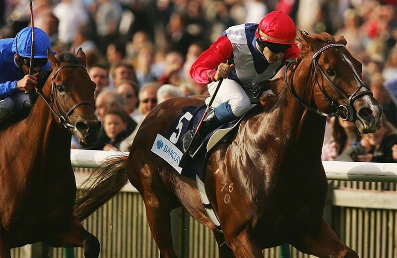 スタークラフト Starcraft 競馬データベース Jra Van Ver World スタークラフト Starcraft 競馬データベース Jra Van Ver World