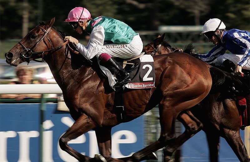 レイルリンク（Rail Link） | 競馬データベース | JRA-VAN World