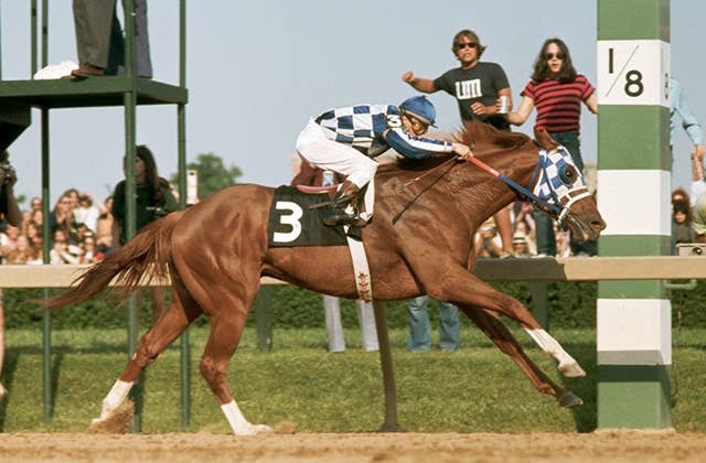 JRA GI 3勝以上 実使用 額装記念蹄鉄 JRA GI 3勝以上 実使用 額装記念蹄鉄 Yahoo!オークション
