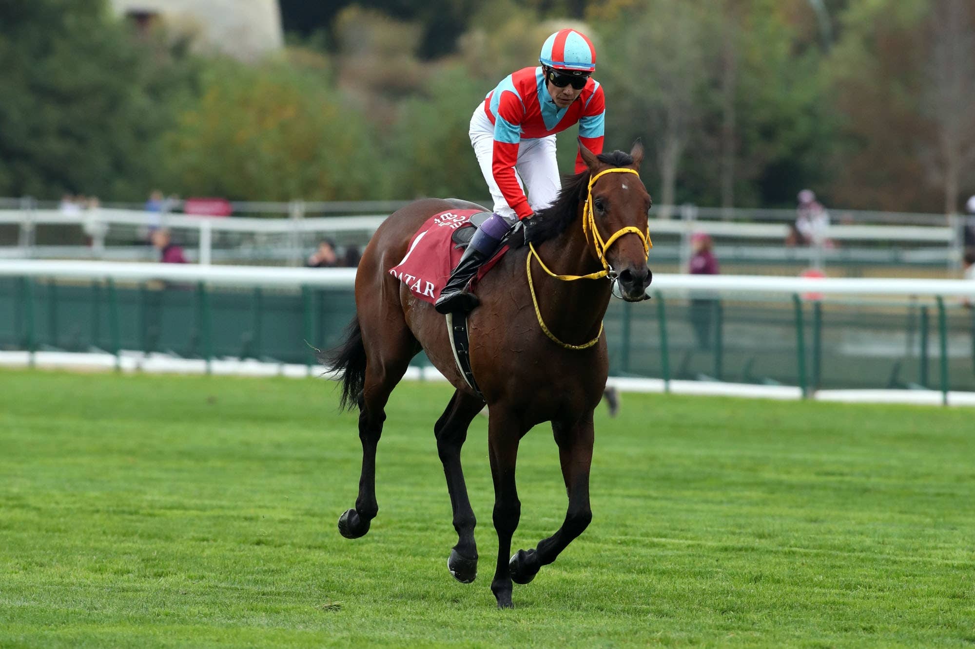 凱旋門賞回顧】エネイブルが史上7頭目の連覇 日本馬制覇の悲願は