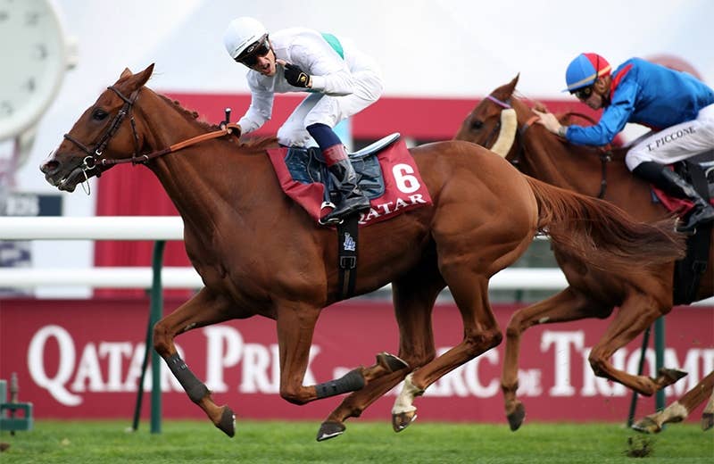 コールザウィンド(Call The Wind) | 競馬データベース | JRA コールザウィンド(Call The Wind) | 競馬データベース | JRA