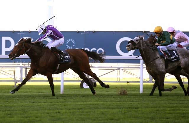 G1英チャンピオンズフィリーズ＆メアズS勝ちのマジカル、BCターフ参戦か JRAVAN World 海外競馬情報サイト