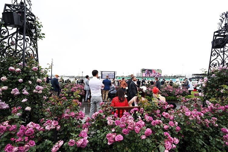 バラの花が華やかに競馬場を彩る（Photo by Kazuhiro Kuramoto）