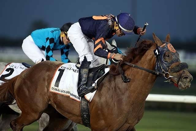 マインドユアビスケッツが引退、来年から日本で種牡馬入り | JRA-VAN