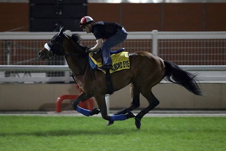 美味しいパンケーキ　アーモンドアイドバイターフ　ルメール騎手　直筆サイン アーモンドアイ ルメール騎手 国枝栄調教師 直筆サイン入