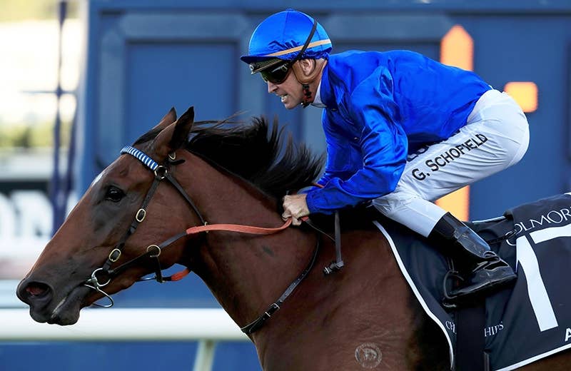 アリーゼー（Alizee） | 競馬データベース | JRA-VAN World - 海外競馬
