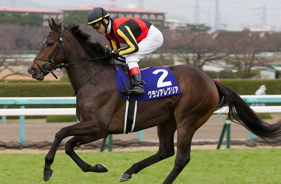 ã‚°ãƒ©ãƒ³ã‚¢ãƒ¬ã‚°ãƒªã‚¢ ç«¶é¦¬ãƒ‡ãƒ¼ã‚¿ãƒ™ãƒ¼ã‚¹ Jra Van Ver World