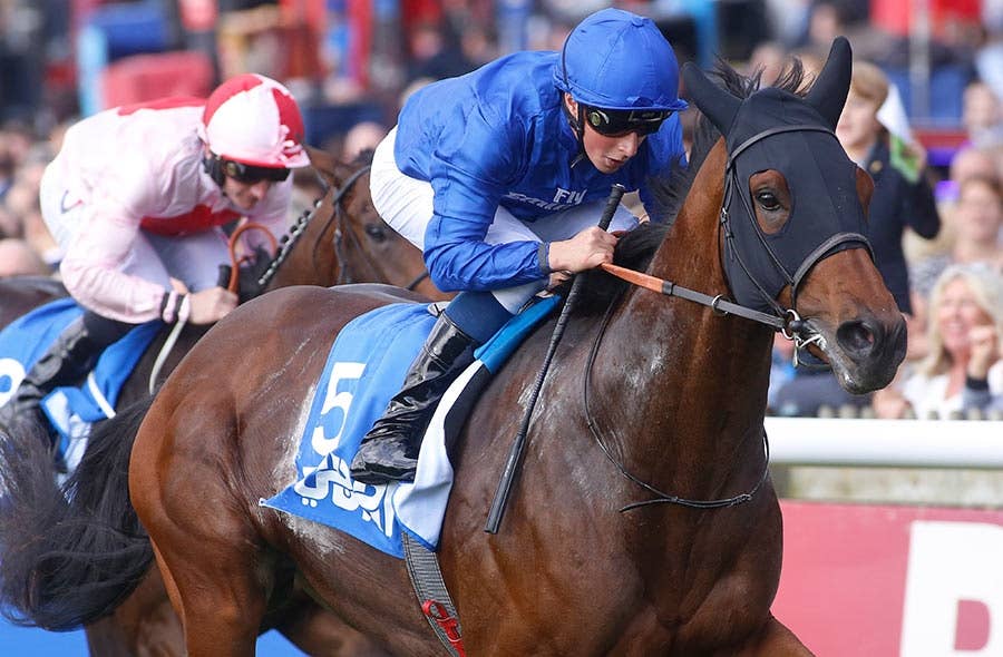 ◆　競馬　JRA　◆　ディープインパクト　◆　ファイテン　RAKUWAネック　◆ 楽天市場】ファイテン RAKUWAネック リーシュタイプII
