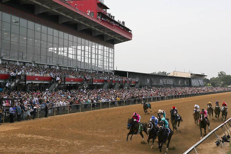 レースが開催されたピムリコ競馬場（Photo by Getty Images）