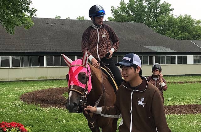 ベルモントステークス（G1） 2019/6/8(土) | 日程・結果 | JRA-VAN