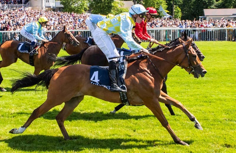 競馬ファンの方、海外レース、優勝馬 フォレ賞（G1）・フォワ賞（G2）・ニエル賞（G2）他に日本馬が